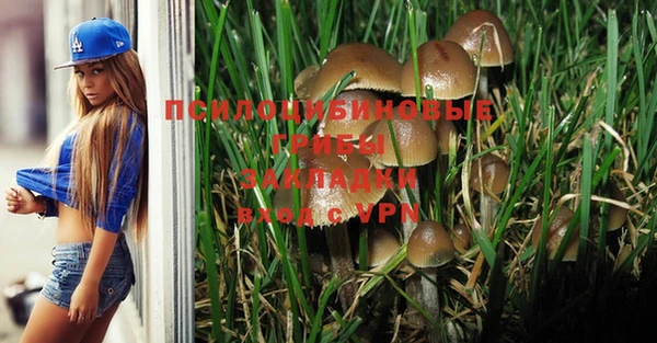 мяу мяу мука Алзамай