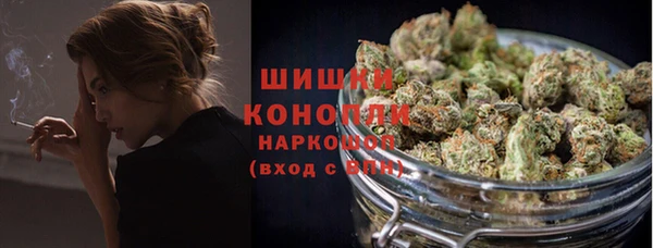 шишки Новокубанск
