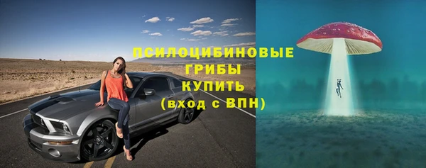 мяу мяу мука Алзамай