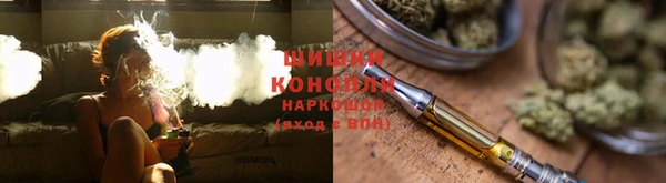 мяу мяу мука Алзамай