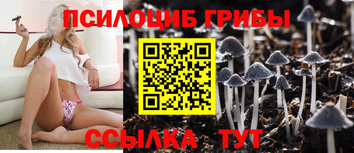 Псилоцибиновые грибы Psilocybe Евпатория
